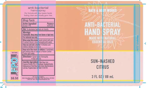 Anti-Bacterial HandSun Washed Citrus 포장