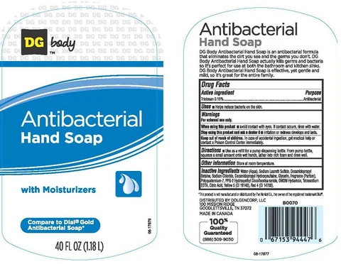 DG BODYANTIBACTERIAL 포장