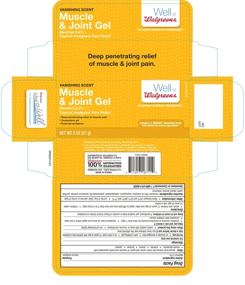 Walgreen Vanishing Scent Muscle and Joint packaging