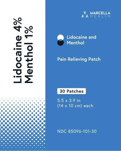 Lidocaine and Menthol packaging