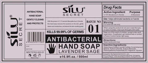 Antibacterial Hand Lavender Sage 포장