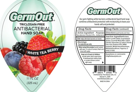 Antibacterial 포장