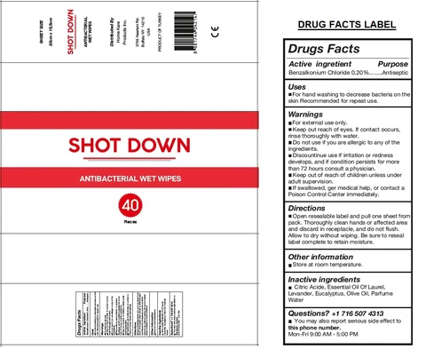 SHOT DOWNANTIBACTERIAL WET WIPES 포장