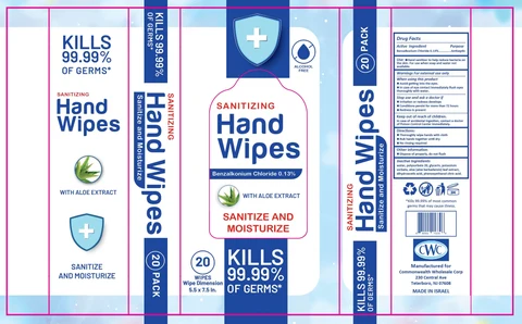 Sanitizing Hand WipesMoisturize with Aloe Extract 포장