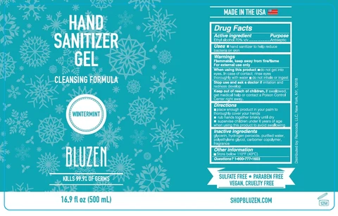 BLUZEN HAND SANITIZER WINTERMINT 포장