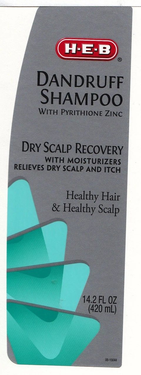 DANDRUFF SHAMPOO DRY SCALP RECOVERY 포장