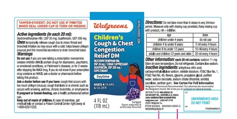 Walgreens Daytime Childrens packaging