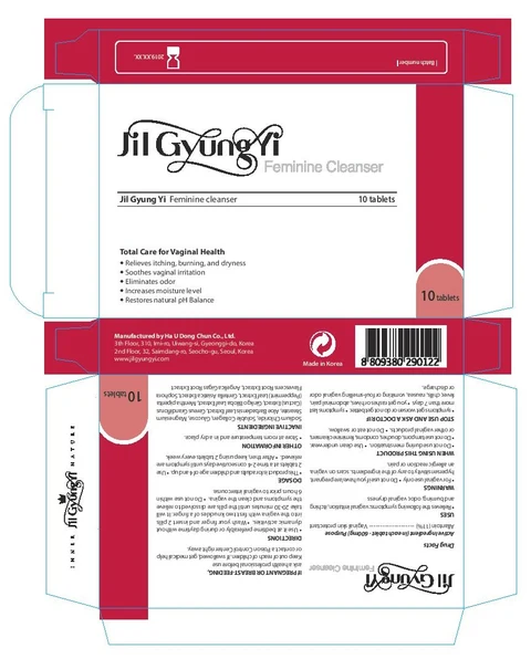 Jilgyungyi (10 Tablets) 포장