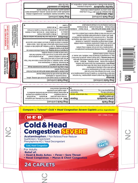 Cold Head Congestion Severe 포장