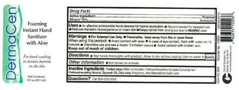 DERMACEN FOAMING INSTANT HAND SANITIZER WITH ALOE 포장