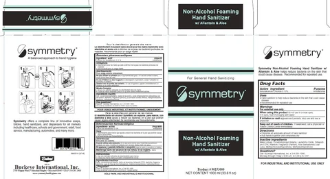 Symmetry Non-Alcohol Foaming Hand Sanitizer with Allantoin and Aloe 포장