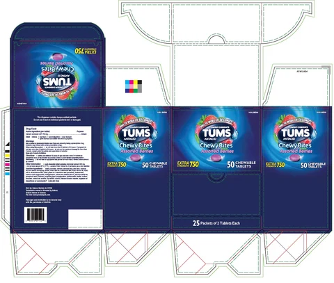 Tums Antacid Chewy Bites 포장
