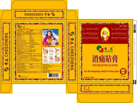 CheeZheng Pain Relieveing Plaster 포장