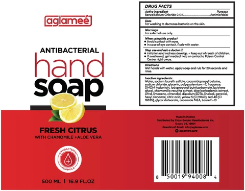 ANTIBACTERIAL Hand 포장