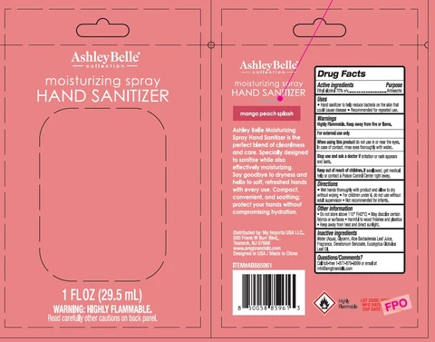 AshleyBelle Moisturizing Hand Sanitizer Mango Peach Splash 포장