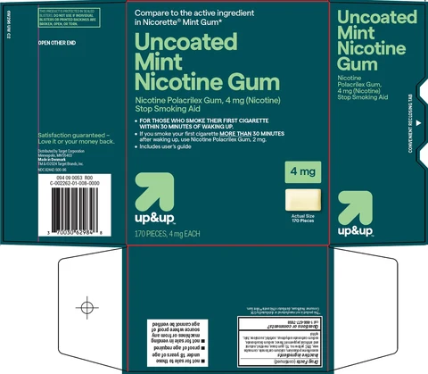 Up and Up Mint Nicotine 포장