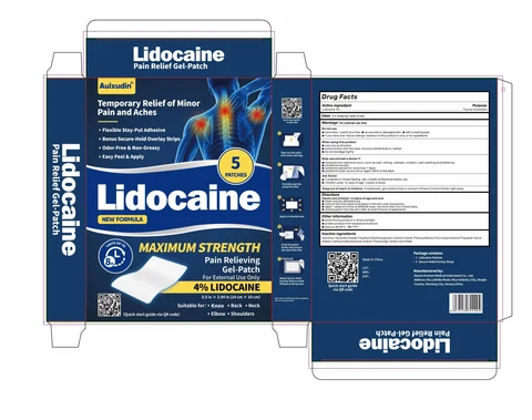Auixudin Lidocaine Pain Relief Gel-Patch 포장