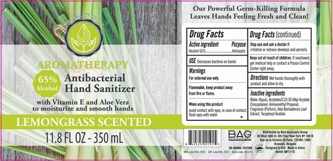 Aromatherapy Antibacterial Hand Sanitizer Lemongrass Scentedwith vitamin E and aloe vera 포장