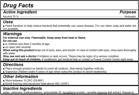 WHITE CELEB SAFE PLUS Gel (ETHANOL) packaging
