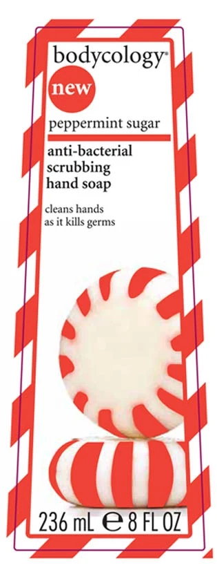 Bodycology Peppermint Sugar anti-bacterial scrubbing hand soap 포장