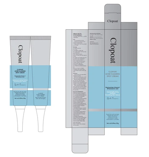 Clopoat CLOPOAT ACNE-CLEARING SPOT 포장