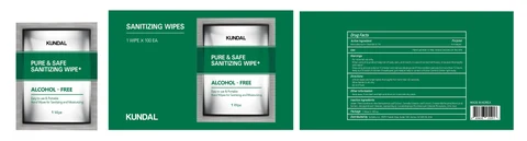 KUNDAL PURE and SAFE SANITIZING WIPE PLUS (BENZALKONIUM CHLORIDE) 포장
