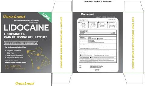 Careland Lidocaine Pain Relieving 포장