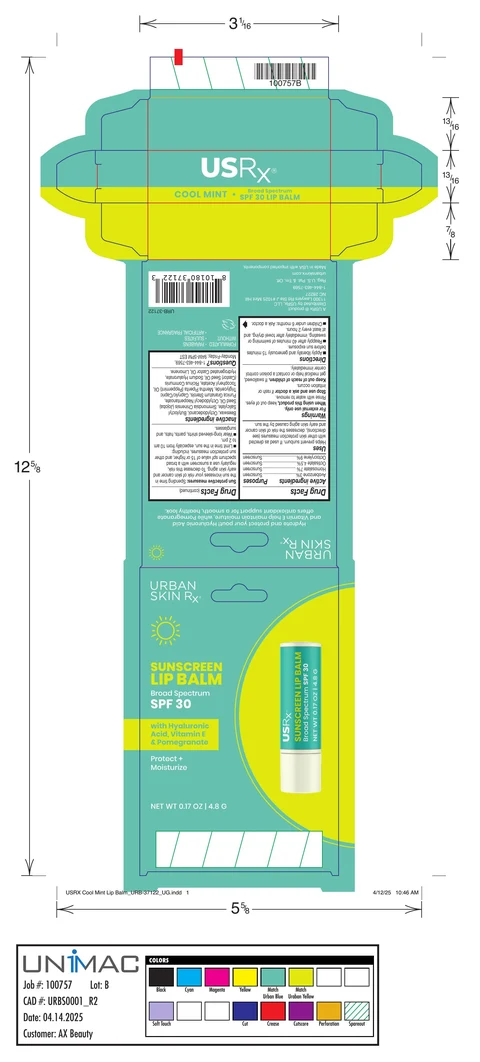 Sunscreen Lip Balm SPF 30 Cool Mint 포장