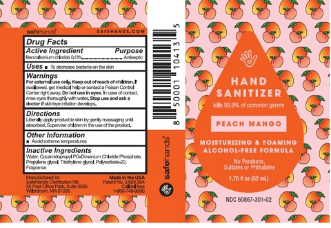 safeHands Hand Sanitizer 포장