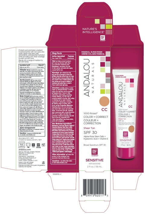 1000 Roses CC Color Plus Correct Sheer Tan SPF 30 포장