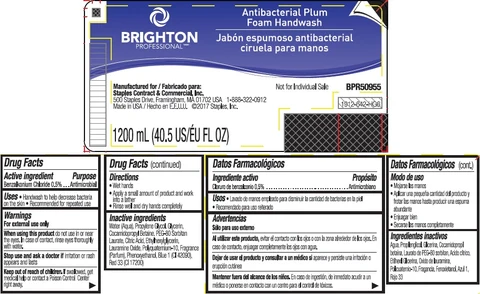 BRIGHTON PROFESSIONAL Antibacterial Plum Foam Handwash 포장
