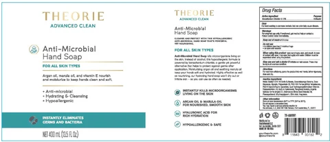 Theorie Antimicrobial Hand WASH packaging