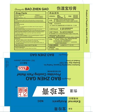 KGS Bao Zhen GaoMedicated Plaster Extra Strength 포장