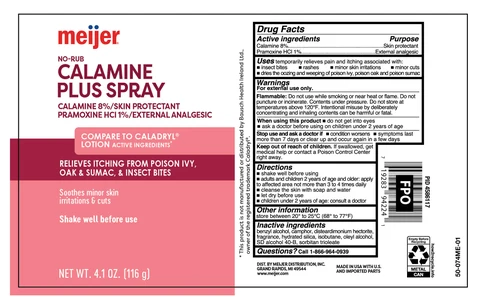 Calamine Plus 포장