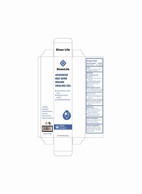 Advanced Bed Sore Wound Healing 포장