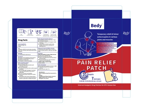 Bedy Pain Relief 포장