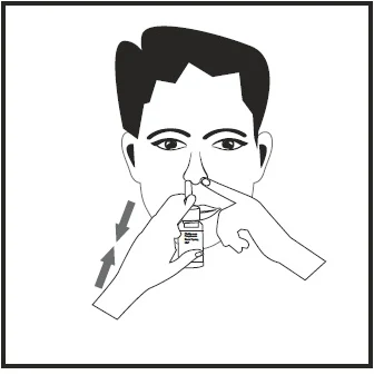 Figure 20