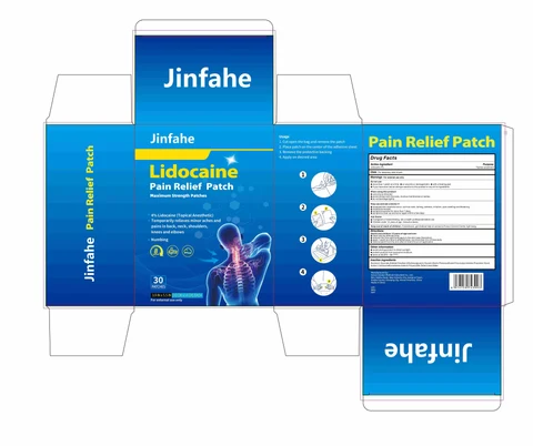 Jinfahe Lidocaine Pain Relief Patch 포장