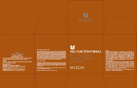 MIZON ALL IN ONE SNAIL REPAIR packaging