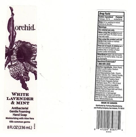 WHITE LAVENDAR AND MINT ANTIBACTERIAL GENTLE FOAMING HAND SP packaging