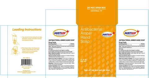 Sanitaxe Antibacterial 포장