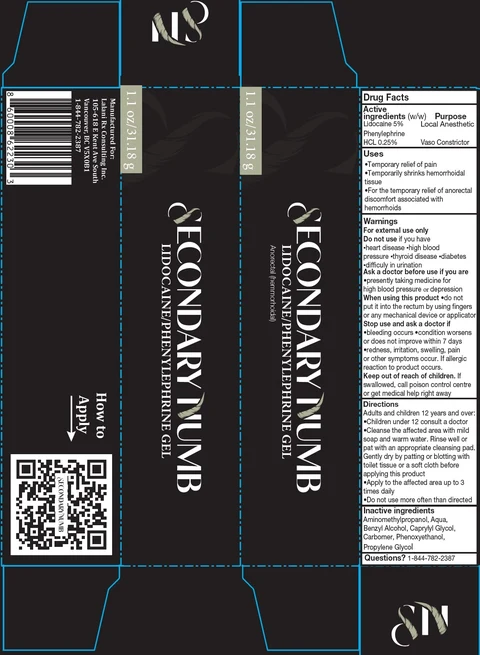 SECONDARY NUMB Lidocaine Phenylephrine Gel 포장