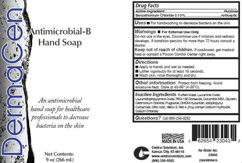 DermaCen Antimicrobial-B Hand 포장