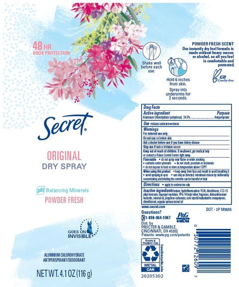 Secret Original Dry Powder Fresh 포장