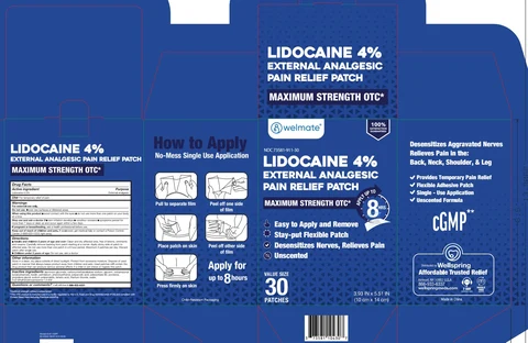 Welmate Lidocaine Pain Relieving Patch packaging