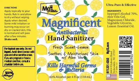 Hand Sanitizer 포장