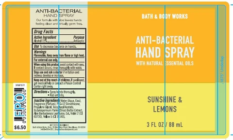 Anti-Bacterial HandSunshine and Lemons 포장
