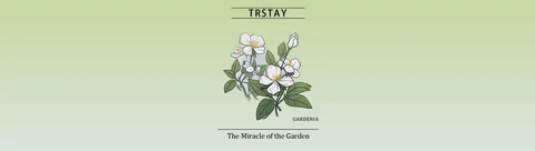 Trstay Gardenia 포장