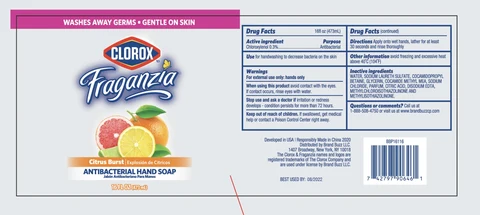 Clorox Fraganzia Antibacterial Hand 포장