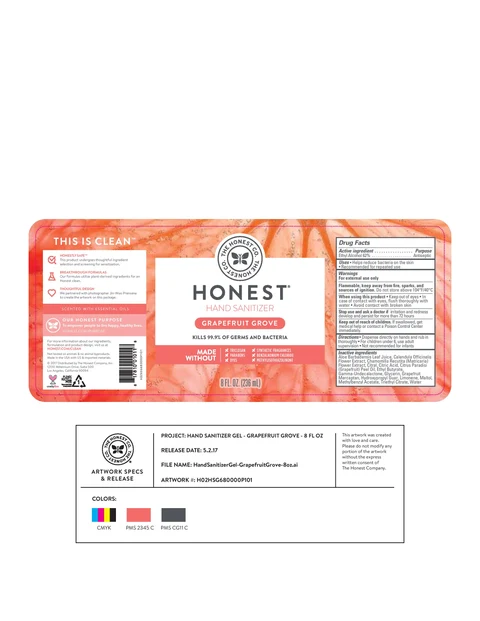 Hand SanitizerGrapefruit Grove packaging